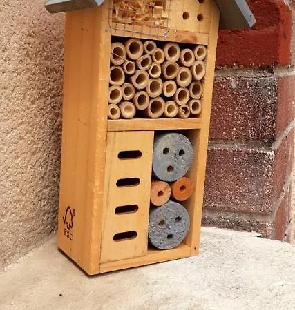 Vakantiehuis Escapade En Champagne Moments Conviviaux Entre Amis, Famille