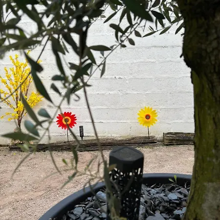 Vakantiehuis Escapade En Champagne Moments Conviviaux Entre Amis, Famille