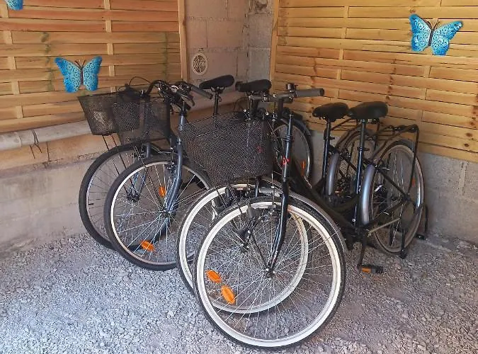 Escapade En Champagne Moments Conviviaux Entre Amis, Famille *